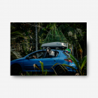 Unframed photograph print of a dog inside a blue Peugeot car surrounded by nature.