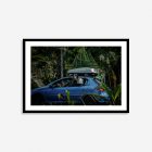 A large dog looking out of a blue car