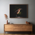 framed wall art of a bird