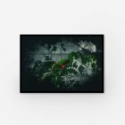 Ladybird wall art photograph