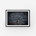 A penguin standing on a branch, gazing out at vast ocean view.