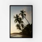 Beautiful sunset view of palm trees on the beach in a framed photo.