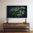 framed wall art print of ladybird