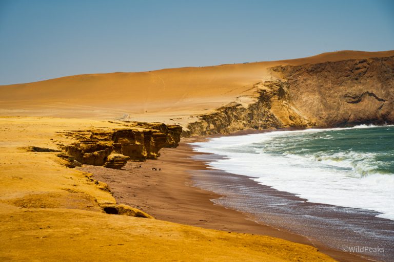 paracas nature reserve peru