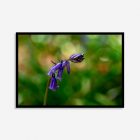 Close-up image of a bluebell flower highlighting its vivid blue petals and fine details, set against a gentle, green backdrop.