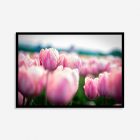 Detailed close-up of bright pink tulips with soft petals, capturing the elegance and freshness of spring in this beautiful wall art print.