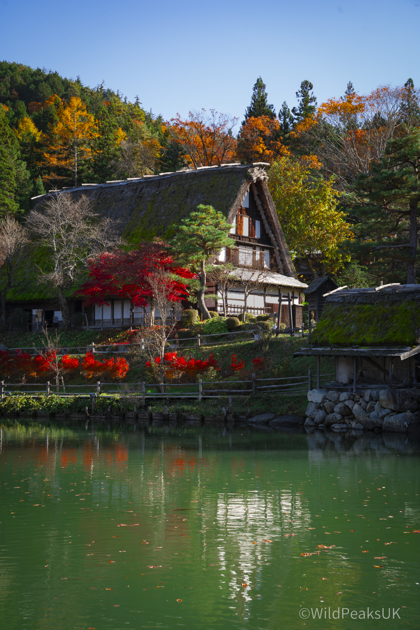 Flexible First‑Time Japan Itinerary