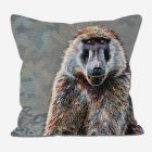 baboon monkey african animal