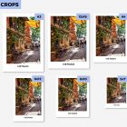 vietnam travel poster crops