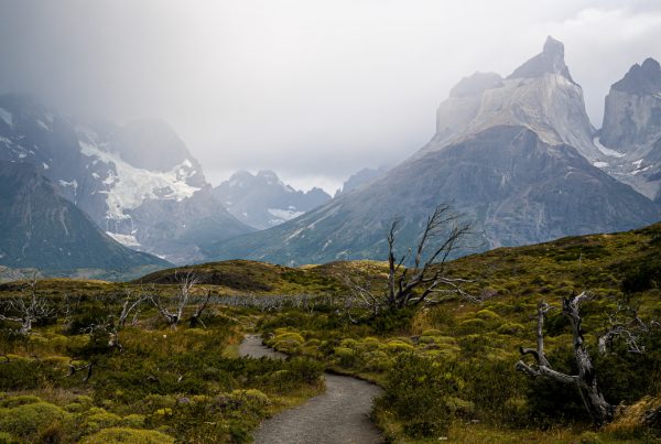 patagonia w-trek torrrel del paine