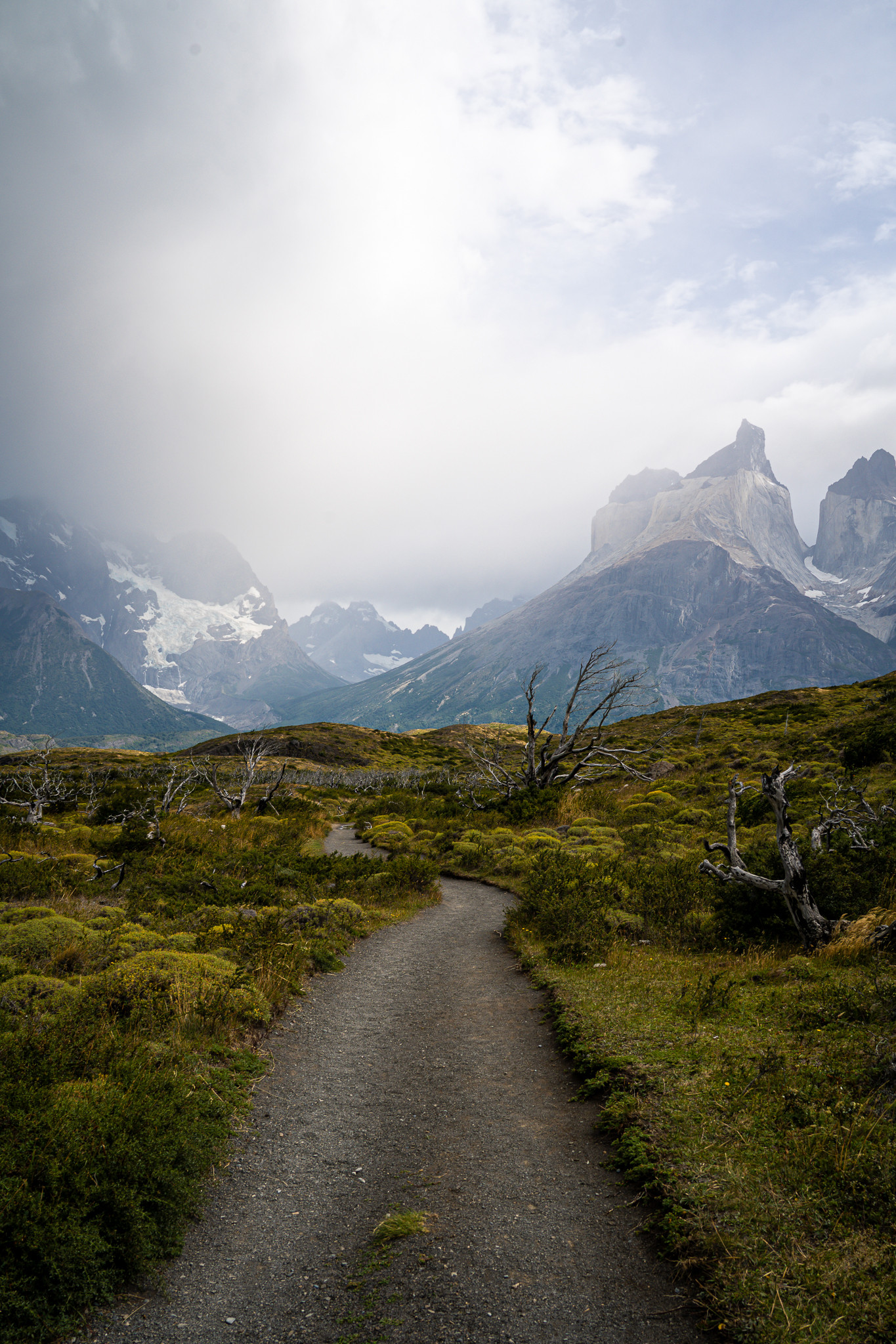 patagonia w-trek torrrel del paine